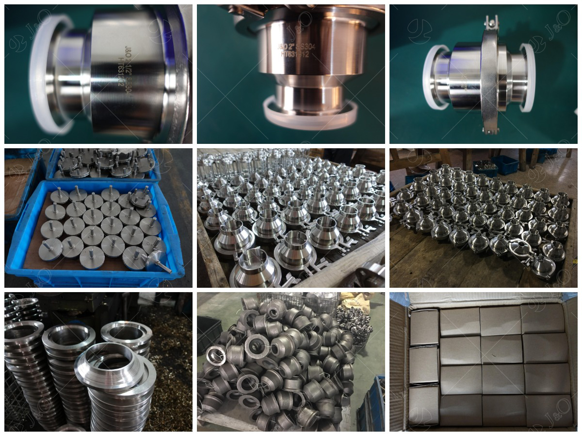 Hygienic Stainless Steel Flanged Check Valve